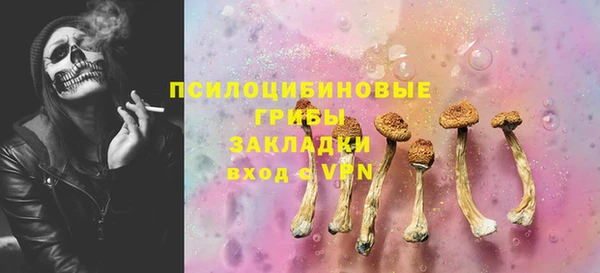 сатива Зеленодольск