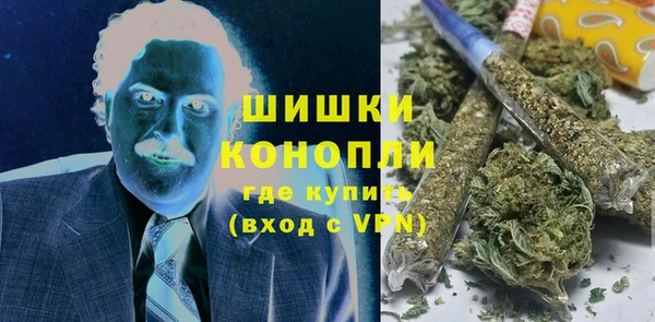 сатива Зеленодольск