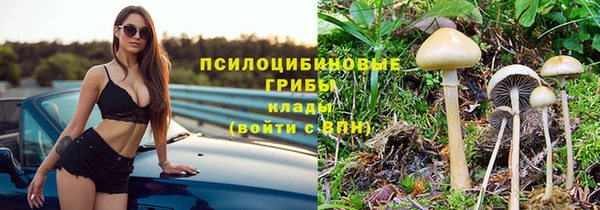 сатива Зеленодольск