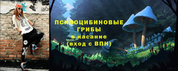 сатива Зеленодольск
