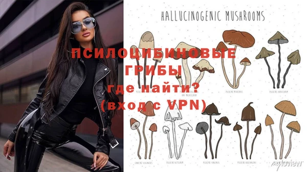 бутик Зеленокумск