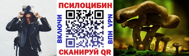 Псилоцибиновые грибы ЛСД  Купить где  Каменск-Уральский 